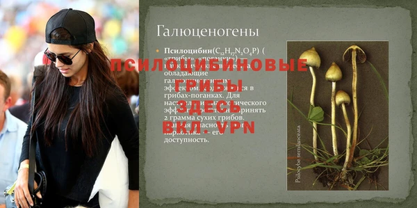 первитин Нязепетровск