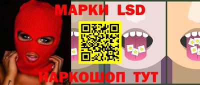 mdpv Кандалакша